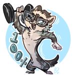 anthro confusedcryptid cooper_mordaut domestic_ferret dumbbell exercise eyewear glasses hi_res male mammal mustelid musteline solo true_musteline weasel weights