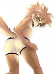  ????? canine dog kiske_7key loocking_at_viewer looking_at_viewer male mammal plain_background solo underwear white_background 