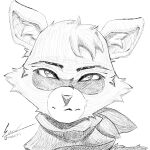 absurd_res annoyed anthro bandanna_scarf clip_studio_paint_(artwork) digital_drawing_(artwork) digital_media_(artwork) enoxarts front_view frown frowning_at_viewer hi_res indigo_park kerchief male mammal portrait procyonid raccoon rambley_raccoon sketchy solo