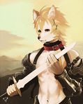  ????? barrette canine collar kiske_7key male mammal solo sword weapon wolf 