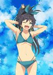  absurdres ahoge animal animal_on_head armpits arms_behind_head bikini black_hair blue_eyes bow breasts cho_bi cleavage cloud day earrings fang ganaha_hibiki green_eyes hair_bow hamster hamster_on_head hamuzou high_ponytail highres idolmaster idolmaster_(classic) jewelry long_hair medium_breasts navel on_head one_eye_closed open_mouth ponytail shiny shiny_skin skindentation sky smile swimsuit underboob 