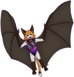 2025 5_fingers 5_toes absurd_res alpha_channel alternate_version_at_source ambiguous_feral ambiguous_gender backwards_legs bat bat_ears bat_wings big_ears black_body black_skin blep brown_body brown_ears brown_eyes brown_feet brown_fingers brown_fur brown_hands brown_nose brown_skin brown_tail brown_toes brown_wings buckle buckled_collar calcar claws clothed clothed_feral clothing cloud collar colored_sketch coywolfy crescent_moon digital_drawing_(artwork) digital_media_(artwork) dipstick_tail eyebrows fake_eyes feet feral finger_claws fingers flying flying_fox front_view full-length_portrait fur fur_markings furgonomics furry_tail ghost_bat gradient_clothing grey-headed_flying_fox head_tuft hi_res hybrid jack_desmodus leaf-nosed_bat leg_tuft long_ears long_tail looking_at_viewer mammal markings megabat megadermitid membrane_(anatomy) membranous_wings microbat midair monotone_feet monotone_hands monotone_wings moon multicolored_body multicolored_fur multicolored_skin multicolored_tail neck_tuft nonbinary_(lore) one-piece_swimsuit orange_body orange_fur orange_tail orange_tuft outline_star padding painted_bat pink_tongue plant plantigrade portrait print_clothing print_one-piece_swimsuit print_swimwear purple_clothing purple_swimwear realistic_wings rounded_star_polygon ruff shaded signature simple_background sketch sling_bikini smile solo star_pattern star_polygon swimwear tail tail_markings teal_collar teeth teeth_showing toe_claws toes tongue tongue_out tragus transparent_background tree tuft two_tone_body two_tone_skin vampire_bat vesper_bat webbed_hands white_body white_claws white_fur white_tail white_tail_tip wings wings_instead_of_hands wrinkles_in_clothes yangochiropteran