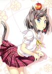  absurdres animal_ears apple arched_back bad_id bad_yandere_id black_hair blue_eyes blush cat_ears cat_tail cherry food fruit hair_ornament hairclip hentai_ouji_to_warawanai_neko. highres kantoku leaning_forward looking_at_viewer mouth_hold plaid plaid_skirt pleated_skirt school_uniform serafuku shadow short_hair skirt skirt_lift solo tail tsutsukakushi_tsukiko 