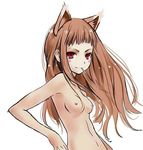  animal_ears blush breasts brown_hair female holo horo koshochka long_hair looking_at_viewer nude red_eyes solo spice_and_wolf 