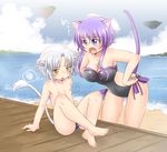  1girl animal_ears arm_support beach breasts casual_one-piece_swimsuit cat_ears cat_tail cleavage day dog_days gaul_galette_des_rois hands_on_hips large_breasts leaning_forward lion_tail male_swimwear ocean okino_matsushiro one-piece_swimsuit open_mouth pier purple_eyes purple_hair scolding sitting swim_briefs swimsuit swimwear tail violet_(dog_days) white_hair yellow_eyes 