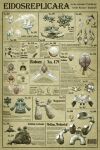  bronzong bronzor chandelure character_name chimecho chingling commentary drifblim drifloon drone_rotom electrode_(pokemon) english_commentary english_text full_body garbodor highres klang klefki klink klinklang lampent litwick magnemite magneton magnezone melmetal meltan merchandise_available no_humans pokedex_number pokemon pokemon_(creature) pokemon_focus poster_(medium) rotom rotom_(fan) rotom_(frost) rotom_(heat) rotom_(mow) rotom_(normal) rotom_(wash) rotom_dex rotom_phone stonjourner swainathan trait_connection trubbish vanillish vanillite vanilluxe voltorb 