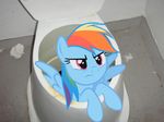  equine female feral friendship_is_magic fur hair hasbro horse mammal my_little_pony nude pegasus pony rainbow_dash_(mlp) solo toilet unknown_artist wings 
