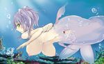  1girl breasts censored female fish_tail green_eyes hanging_breasts huge_breasts looking_back mermaid monster_girl navel nipples norodere nude ocean otogi_(s_in_w) purple_hair pussy pussy_juice sea short_hair solo swimming tail twintails underwater 