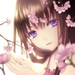  bangs blurry brown_hair cherry_blossoms colored_eyelashes depth_of_field eyelashes face flower hands lips long_hair looking_at_viewer nana_mikoto original outstretched_hand purple_eyes solo 