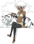  anklet barefoot brown_eyes dark_skin detached_sleeves feet full_body jewelry midriff navel necklace nora_higuma original parted_lips petting short_hair sitting thighhighs tiger toeless_legwear tribal white_hair white_tiger 