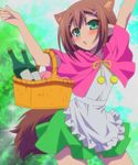  animal_ears apron baka_to_test_to_shoukanjuu basket blush brown_hair crossdressing green_eyes grimm's_fairy_tales hair_ornament hairclip highres kinoshita_hideyoshi little_red_riding_hood little_red_riding_hood_(grimm) male_focus otoko_no_ko screencap short_hair skirt solo stitched tail third-party_edit wolf_ears wolf_tail 