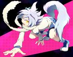  all_fours animal_ears bike_shorts fubuki_atsuya inazuma_eleven inazuma_eleven_(series) male_focus open_mouth scarf solo tail wato_samirika white_hair yellow_eyes 