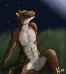  abs anthro canine grass green_eyes kirodark male mammal night sitting solo stars wolf 