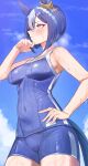  1girl absurdres amepa_(ame_pinecandy) animal_ears blue_hair blue_sky braid breasts cesario_(umamusume) commentary_request cowboy_shot crown_braid day ear_ornament highres horse_ears horse_girl horse_tail looking_to_the_side medium_breasts multicolored_hair outdoors purple_eyes school_swimsuit sky solo streaked_hair sweat swimsuit tail tracen_swimsuit umamusume visible_air white_hair 