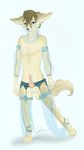  brown_hair canine erection fantasy femme_boy fennec fox girly hair harem knot male mammal penis solo tsareia veil veils 