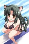  animal_ears bikini black_hair breast_squeeze breasts brown_eyes cat_ears cat_tail closed_mouth face from_above large_breasts long_hair looking_at_viewer milk_(tonpuu) original pool poolside smile solo swimsuit tail tonpuu 