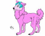  canine female moonstar_wolf pink wolf 