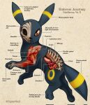  2022 ambiguous_gender anatomy biological_illustration black_body black_eyes bone christopher_stoll copyright_name cross_section digital_drawing_(artwork) digital_media_(artwork) digitigrade eeveelution english_text feral full-length_portrait furrowed_eyebrows generation_2_pokemon guts hi_res intestines looking_at_viewer lung markings mouth_closed nintendo orange_eyes organs paper_background pelvis pokemon pokemon_(species) pokenatomy portrait quadruped rib_cage ring_(marking) side_view simple_background skull solo species_name stomach striped_ears striped_markings striped_tail stripes tail tail_markings tan_background technical_illustration text twitter_handle umbreon yellow_markings yellow_stripes 