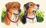  2011 canine collar dog feral red_dog 
