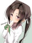  1girl akino_shuu apron artist_name black_hair brown_hair brown_headscarf brown_ribbon collared_shirt commentary_request eating flying_sweatdrops food gradient_background green_background hair_ribbon headscarf holding kantai_collection kappougi long_hair long_sleeves looking_at_viewer nankai_(kancolle) neck_ribbon nosaki_(kancolle) pink_eyes pink_shirt ribbon sexually_suggestive shirt solo twintails twitter_username upper_body white_ribbon 