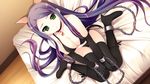  animal_ears bikini bondage boots game_cg green_eyes hamashima_shigeo pochi_to_goshujin-sama purple_hair swimsuit thighhighs yamamine_hijiri_bernard 