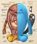 >_< 2022 ambiguous_gender anatomy anthro blue_body christopher_stoll copyright_name digital_drawing_(artwork) digital_media_(artwork) dot_pupils english_text eyes_closed front_view full-length_portrait generation_2_pokemon guts hi_res intestines looking_at_viewer lung mouth_closed nintendo organs paper_background pokemon pokemon_(species) pokenatomy portrait simple_background solo species_name stomach tail tan_background text twitter_handle white_sclera wobbuffet