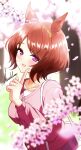  1girl ;d absurdres animal_ears artist_name blurry brown_hair cardigan casual cherry_blossoms commentary depth_of_field ear_ornament flower_in_eye hachimii_flash hair_ornament head_tilt highres horse_ears horse_girl index_finger_raised long_sleeves looking_at_viewer one_eye_closed parted_bangs pink_cardigan purple_eyes sakura_laurel_(casual)_(umamusume) sakura_laurel_(umamusume) short_hair signature smile solo symbol_in_eye umamusume 
