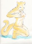  anthro blush breasts cougar dickgirl feline herm intersex kaputotter mammal nipples nude penis sheath solo 