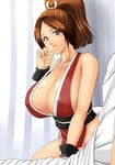  breasts cosoloya fatal_fury ibuki_rinji king_of_fighters large_breasts ponytail shiranui_mai smile snk solo 