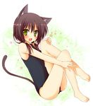 :d animal_ears bare_legs barefoot blush brown_hair cat_ears cat_tail fang green_eyes huei_nazuki one-piece_swimsuit open_mouth original school_swimsuit sitting smile solo swimsuit tail 