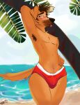 2026 anthro armpit_hair armpit_tuft athletic beach belly_blush blush body_blush body_hair bottomwear brown_body brown_fur bubble_butt bulge butt canid canine chest_tuft clear_sky clothed clothing colored digital_drawing_(artwork) digital_media_(artwork) embarrassed femboy feminine feminine_pose fluffy forgotten_island fur glistening glistening_body hair_fluff hi_res hybrid island looking_away male mammal orange_body orange_fur outside palm_tree partially_clothed plant raww_(forgotten_island) red_bottomwear red_clothing red_shorts seaside shaded shibatoast shorts signature skinny sky slim small_waist solo stripes sunny swimming_trunks swimwear thick_thighs tongue tongue_out tree tuft warm watermark werecanid werecanine werecreature