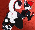 absurd_res anthro anus armwear balls black_body black_clothing black_fur black_legwear black_stockings brown_eyes butt canid canine canis clothing curled_tail cutefckngbunny domestic_dog dyed_fur ear_piercing fur gaming_controller genitals grey_body grey_fur hand_print hand_print_on_butt hi_res highlights_(coloring) husky industrial_piercing kneeling legwear lying male mammal mohawk mostly_nude multicolored_body multicolored_fur nordic_sled_dog nude on_front pawpads paws perineum piercing pink_anus sebastian_the_husky shirt solo spitz stockings tail tank_top teeth tongue tongue_out topwear white_body white_fur