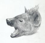 2011 black_and_white black_eyes cave_hyena feral growling hyena mammal mihin89 monochrome open_mouth prehistoric_species sharp_teeth simple_background sketch solo spotted_hyena teeth white_background