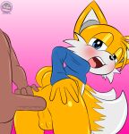 2_tails absurd_res aged_up anal anal_penetration anthro anthro_penetrated armwear balls blush butt canid canine clothed clothing crossdressing dark-skinned_human dark_body dark_skin duo elbow_gloves femboy fox fur genitals gloves half-closed_eyes hand_on_butt handwear hi_res human human_on_anthro human_penetrating human_penetrating_anthro interspecies larger_human looking_at_another looking_at_viewer male male/male male_penetrated male_penetrating male_penetrating_male mammal miles_prower multi_tail narrowed_eyes nude_anthro nude_male penetration sega sex sirjzau size_difference sonic_the_hedgehog_(series) tail yellow_body yellow_fur