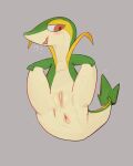2026 absurd_res anus blush blush_lines blush_stickers bodily_fluids female feral generation_5_pokemon genitals green_body green_skin grey_background half-closed_eyes head_to_side hi_res holding_both_legs inner_labia leaf leaf_tail looking_back narrowed_eyes nintendo open_mouth open_smile pink_anus pink_inner_labia pink_vulva pokemon pokemon_(species) presenting presenting_anus presenting_vulva red_eyes simple_background smile snivy snout solo solterv spread_legs spreading steamy_breath sweat sweaty_body sweaty_face sweaty_legs sweaty_thighs tail thick_tail vulva