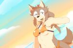 advertisement anthro armpit_hair beach bikini bikini_lift bikini_thong bikini_top body_hair brown_body brown_fur brown_hair canid canine catjamn clothing cloud eyewear fangs female fur glasses hair hi_res karina_(catjamn) looking_at_viewer mammal nipples orange_eyes sea sketch solo sunset swimwear tan_body tan_fur teeth two-piece_swimsuit water