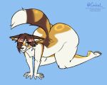 2026 5:4 all_fours anthro big_butt black_nose blue_background brown_body brown_fur brown_hair butt butt_dimples canid canine cheek_tuft coalcat digital_drawing_(artwork) digital_media_(artwork) ear_piercing ear_ring ears_down eye_through_hair eyebrow_through_hair eyebrows facial_tuft feet fox fur hair hi_res huge_butt hyper hyper_butt inner_ear_fluff male mammal marble_fox multicolored_body multicolored_fur nude_anthro nude_male piercing pivoted_ears red_fox ring_piercing shaded signature simple_background smile smirk solo tail tan_body tan_fur text thick_thighs translucent translucent_hair travis_(bonzi) true_fox tuft url watermark white_body white_fur yellow_eyes