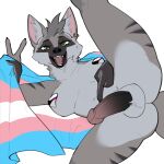 1:1 2026 aardwolf anthro ayannzer balls black_nose breasts demisexual_pride_colors ear_piercing ear_ring english_description facial_markings flag flag_(object) fur genitals gesture gold_(metal) gold_ear_piercing gold_ear_ring green_eyes grey_body grey_fur grey_inner_ear_fluff gynomorph hand_gesture head_markings heart_pasties hi_res holding_flag holding_object humanoid_genitalia humanoid_hands humanoid_penis hyena inner_ear_fluff intersex ivy_(riddiculous) lgbt_pride lgbt_pride_month looking_at_viewer mammal markings mask_(marking) nude_anthro nude_gynomorph open_mouth pasties penis piercing pink_inner_ear pointing pointing_at_penis pointing_at_self pride_colors raised_leg ring_piercing simple_background smile smiling_at_viewer solo tail trans_(lore) trans_woman_(lore) transgender_pride_colors tuft v_sign white_background