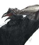  1boy beak bird_boy furry furry_male hand_on_own_head looking_up ludwig_(reverse:1999) male_focus margeeee nude open_mouth reverse:1999 twitching upper_body white_background 