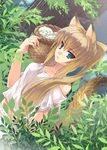  animal_ears aqua_eyes bare_shoulders basket blonde_hair collarbone dutch_angle looking_at_viewer midriff original plant ponytail solo tail takigawa_yuu tree 