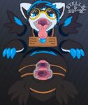 absurd_res animal_genitalia anus bending_of_the_rectum cinder_(suiro) cloaca english_text eyewear fan_character faux_gaping_anus faux_gaping_cloaca faux_gaping_pussy female gag generation_3_pokemon genitals glasses hi_res latias legendary_pokemon looking_at_viewer nintendo open_mouth pokemon pokemon_(species) public_use questionable_consent ring_gag speculum suiro symmetry text through_wall tongue tongue_out vulva