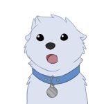 1:1 2020 alpha_channel anthro black_eyes black_nose blue_collar collar collar_only collar_tag fur head_tuft icon letodoesart male mammal meme mustelid nintendo nude open_mouth otter pebble_(letodoesart) pokemon reaction_image simple_background solo surprised surprised_pikachu transparent_background tuft white_body white_fur