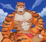 2026 abs anthro beach biceps big_muscles big_pecs blue_eyes blue_sky clothed clothing cloud deltoids felid forearm_muscles fur hi_res male mammal multicolored_body multicolored_fur muscular muscular_male navel net nipples orange_body orange_fur pantherine pecs red_clothing red_speedo red_swimwear sand sitting sitting_on_ground sky smile solo speedo speedo_only striped_body striped_fur stripes swimwear tail tan_body tan_fur tiger topless vaquitomorado volleyball_net