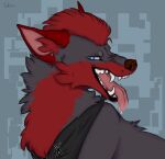 2021 ambiguous_feral ambiguous_gender angry artist_name black_kerchief black_neckerchief blue_eyes bodily_fluids bust_portrait canid canine canis carnassials constricted_pupils countershade_fur countershade_snout countershade_torso countershading dated detailed digital_drawing_(artwork) digital_media_(artwork) digitigrade dripping english_text fangs feral feral_with_hair fur furrowed_eyebrows grey_body grey_fur hair hi_res incisors iris kerchief kerchief_only looking_at_viewer looking_away mammal mostly_nude narrowed_eyes neckerchief neckerchief_only neckwear open_mouth pattern_kerchief pattern_neckerchief pink_tongue pointy_ears portrait prick_ears pupils quadruped red_body red_ears red_fur red_gums red_hair red_nose saliva saliva_drip saliva_on_tongue scrunched_nose scrunchy_face side_view signature simple_background sitting small_pupils snout solo taka_(artist) teeth text tongue tongue_out whisker_spots whiskers wolf