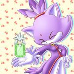  animated blaze_the_cat cat chibi clothed clothing cute eyes_closed feline female floating fur gem gif hedgehog looking_at_viewer loop mammal pattern_background ponytail purple purple_fur sega shastathecat silver_the_hedgehog sol_emerald sonic_(series) strawberry 