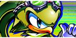  beak blue_eyes chicaramirez eyewear goggles green green_body hawk jet_the_hawk male sega solo sonic_(series) sonic_riders 