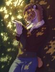 2026 anthro arthropod bottomwear claws clock clothing digital_media_(artwork) dipstick_tail fangs felid finger_claws fur hair hi_res inner_ear_fluff insect jacket leaning_on_tree liimapng looking_at_insect male mammal markings orange_body orange_fur outside pants plant portrait prehistoric_species reis_(serreis) saber-toothed_tiger sabertooth_(anatomy) shirt short_tail signature solo tail tail_markings teeth three-quarter_portrait topwear tree tuft watch white_body white_fur wristwatch