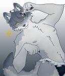 absurd_res anthro canid canine canis clothing cute_pose digital_drawing_(artwork) digital_media_(artwork) frilly frilly_clothing frilly_underwear full_render hi_res looking_at_viewer lying male mammal nelegna simple_background solo underwear watermark wolf yellow_eyes