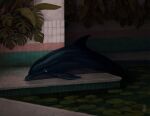 ambiguous_gender aquatic cetacean dappermouth dirty_walls dolphin lily_pad liminal_spaces lying mammal partially_submerged plant signature solo split-leaf_philodendron swimming_pool tile tile_wall toothed_whale wall_(structure) water white_eyes