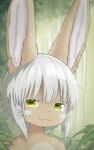5:8 :3 absurd_res ambiguous_anthro ambiguous_gender anthro bangs big_ears bitesizedcookie bust_portrait eyebrow_through_hair eyebrows eyelashes floating_eyebrows green_eyes grey_hair hair hi_res horizontal_pupils looking_at_viewer made_in_abyss nanachi narehate plant portrait pupils smile smiling_at_viewer solo translucent translucent_hair wallpaper watermark whiskers white_eyelashes
